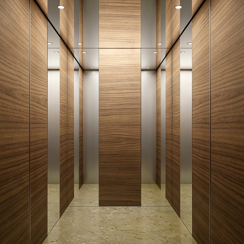 Moderni putnički lift kabine kabine od drvenog furnira